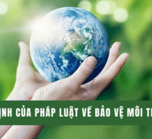 Phần VI