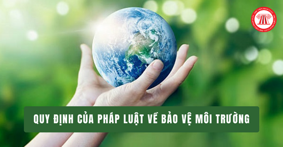 You are currently viewing Phần VI