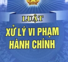 Phần  VII